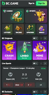 Exploring BC.Game The Premier Betting Platform in the Crypto World